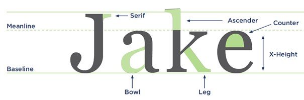 An infographic explaining basic typography terms like typeface, font, leading, tracking, and kerning.