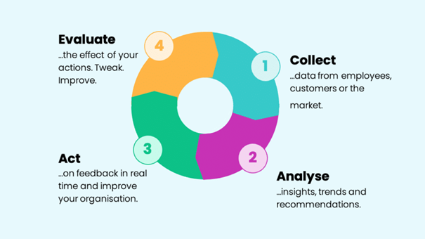 A flowchart showing the process of collecting and implementing user feedback.